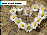 image Daisy Heart Jigsaw