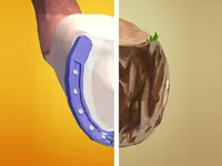 image Horseshoeing