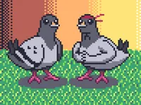 image Pigeon Ascent
