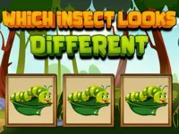 image Which Insect Looks Different