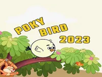 image Poky Bird 2023