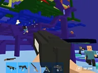 image Pixel Forces