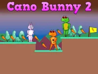 image Cano Bunny 2